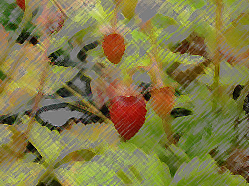 wild-strawberries